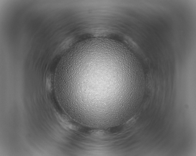 X0000077990074200611101739