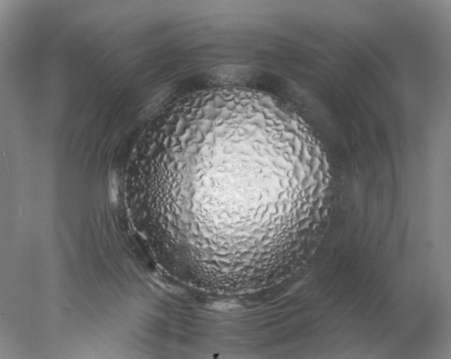 X0000077990075200611101739