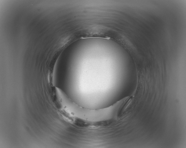 X0000077990076200611101739