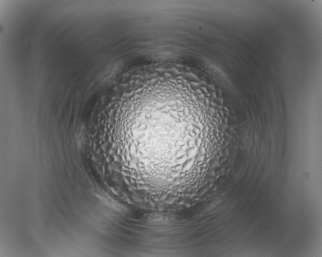 X0000077990077200611101739