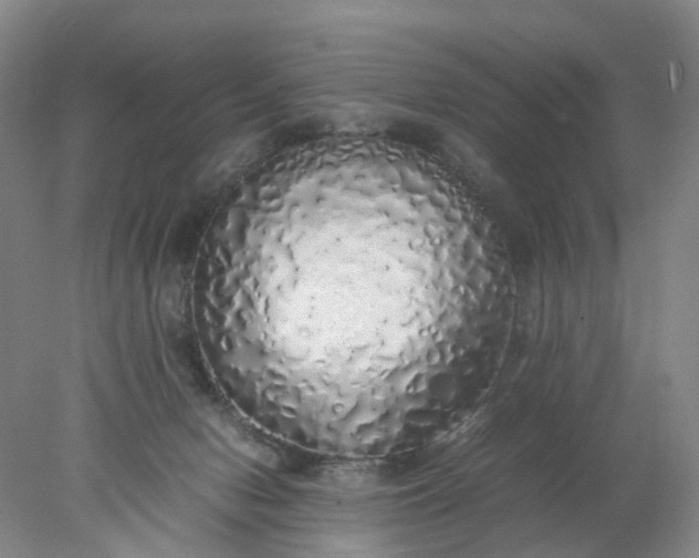 X0000077990078200611101739