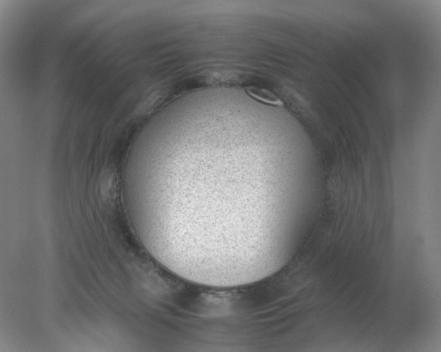 X0000077990079200611101739