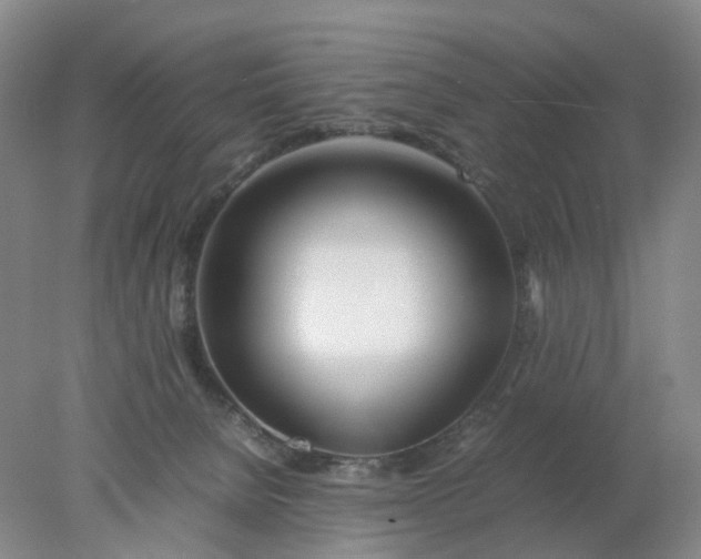 X0000077990080200611101739