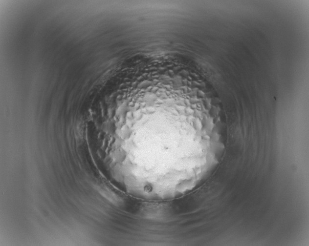 X0000077990081200611101739