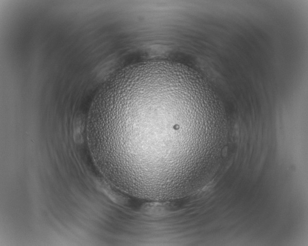 X0000077990082200611101739