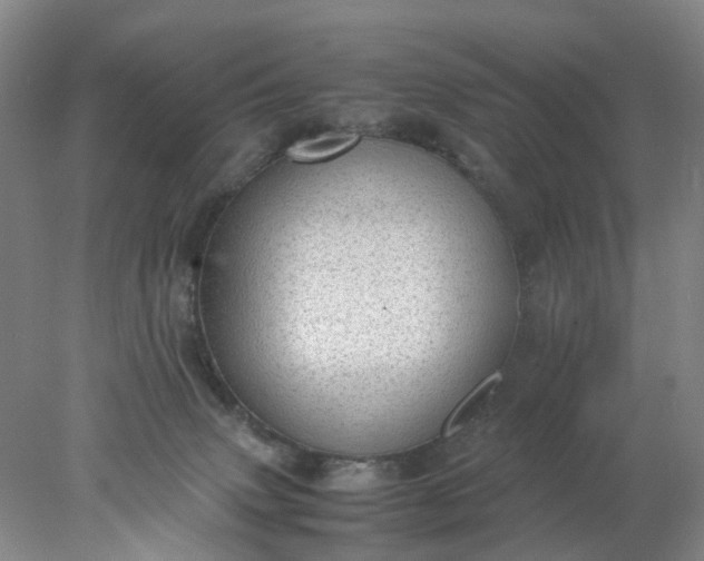 X0000077990083200611101739