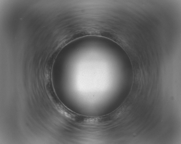 X0000077990084200611101739