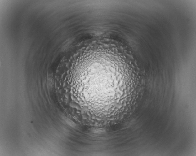 X0000077990085200611101739