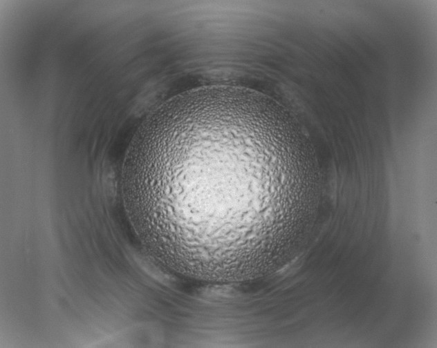 X0000077990086200611101739