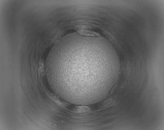 X0000077990087200611101739