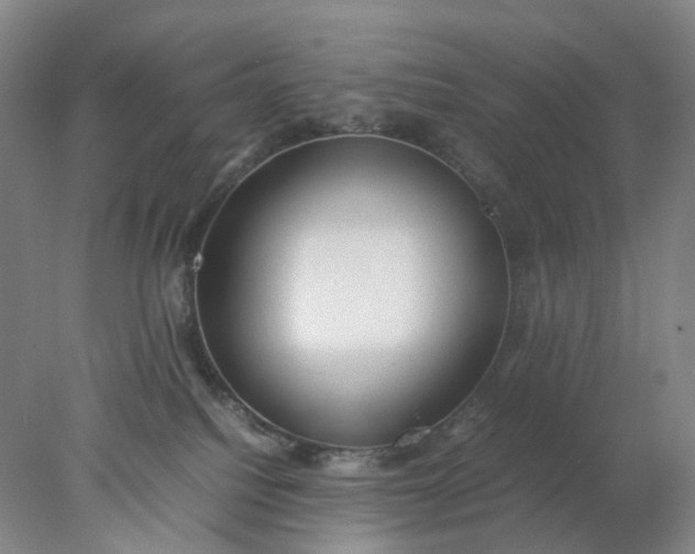 X0000077990088200611101739