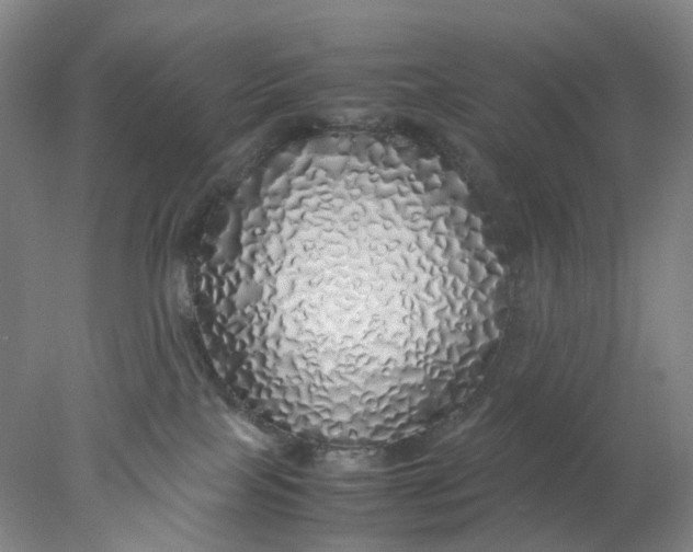 X0000077990089200611101739