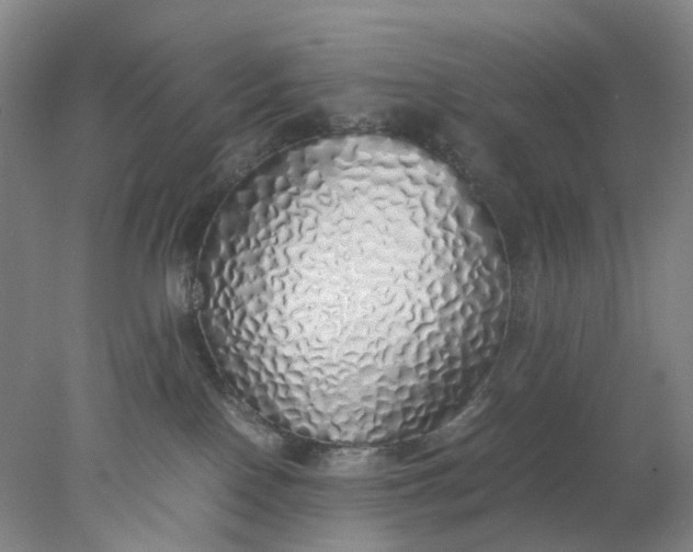 X0000077990090200611101739