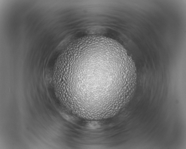 X0000077990091200611101739