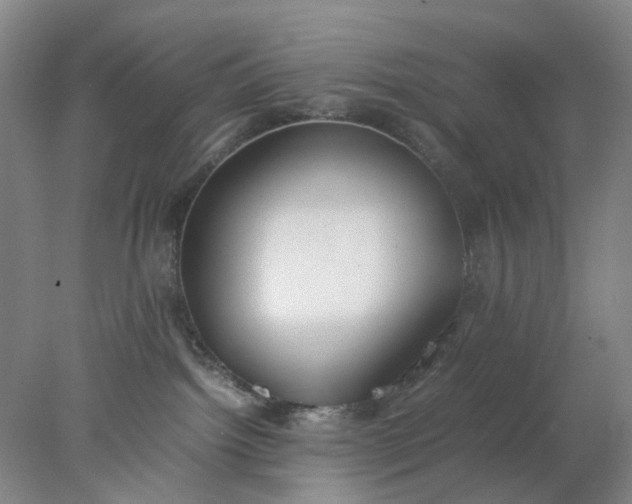 X0000077990092200611101739