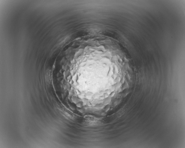 X0000077990093200611101739