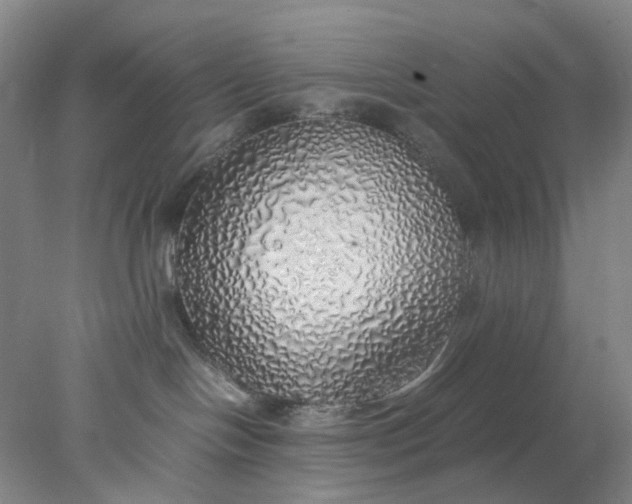 X0000077990094200611101739