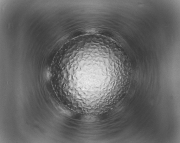 X0000077990095200611101739