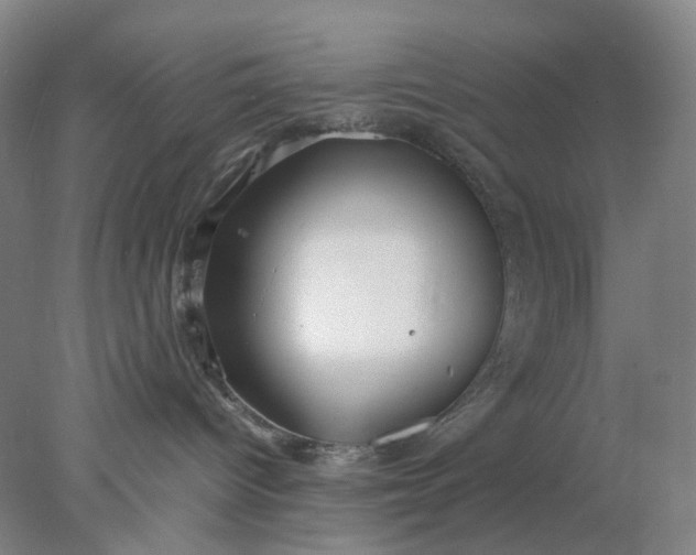 X0000077990096200611101739