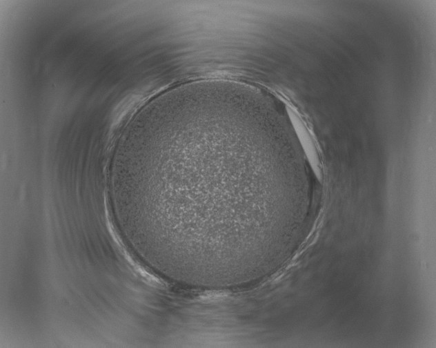 X0000077990097200611101739