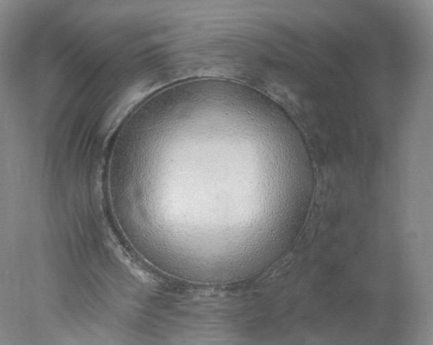 X0000077990098200611101739