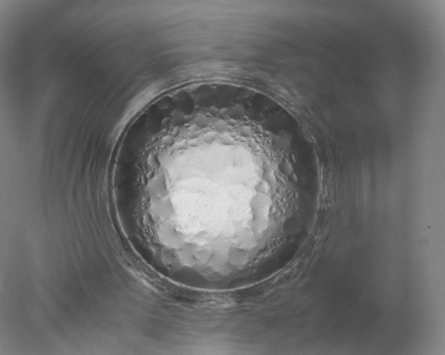 X0000077990099200611101739