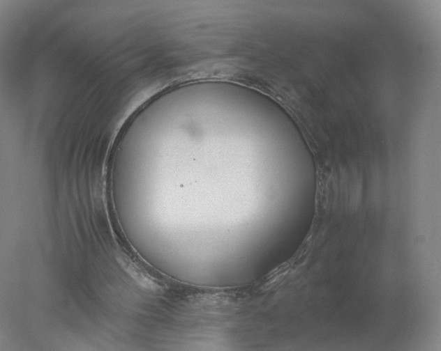 X0000077990100200611101739