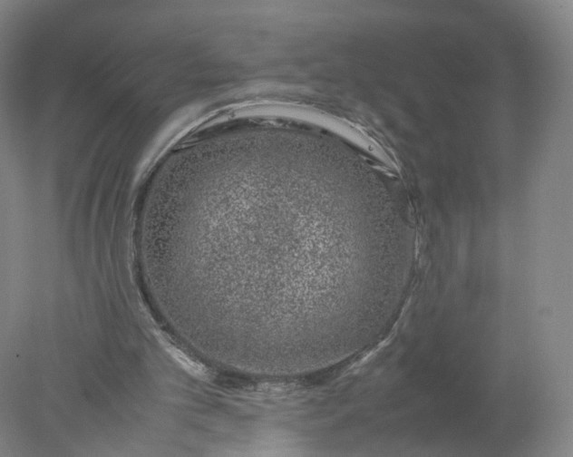 X0000077990101200611101739