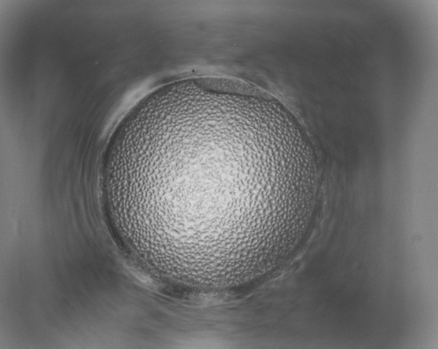 X0000077990103200611101738