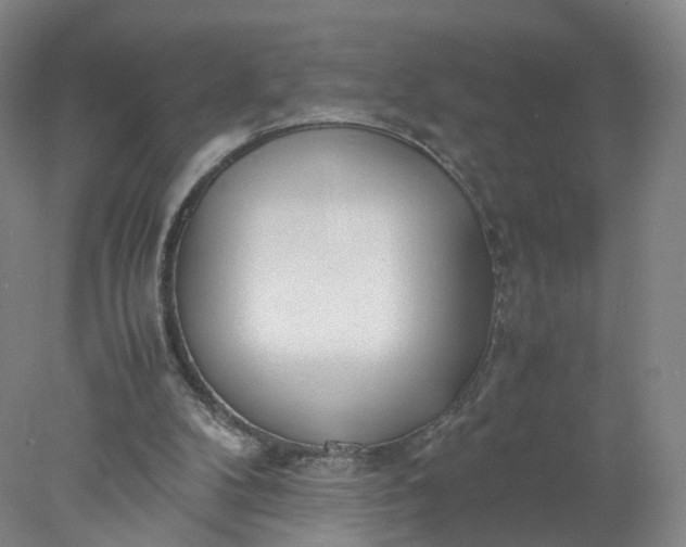 X0000077990104200611101738