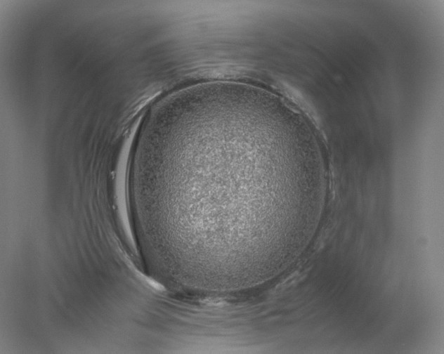 X0000077990105200611101738