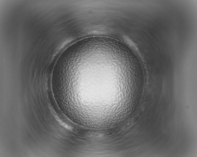 X0000077990106200611101738