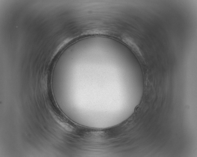 X0000077990108200611101738