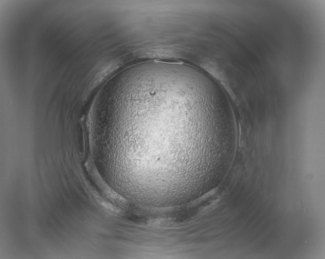 X0000077990109200611101738