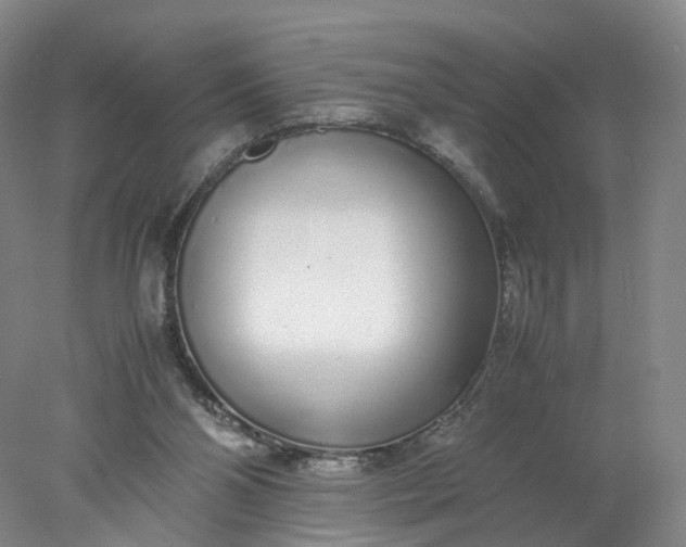 X0000077990110200611101738