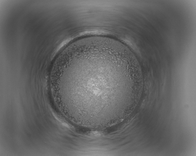 X0000077990111200611101738