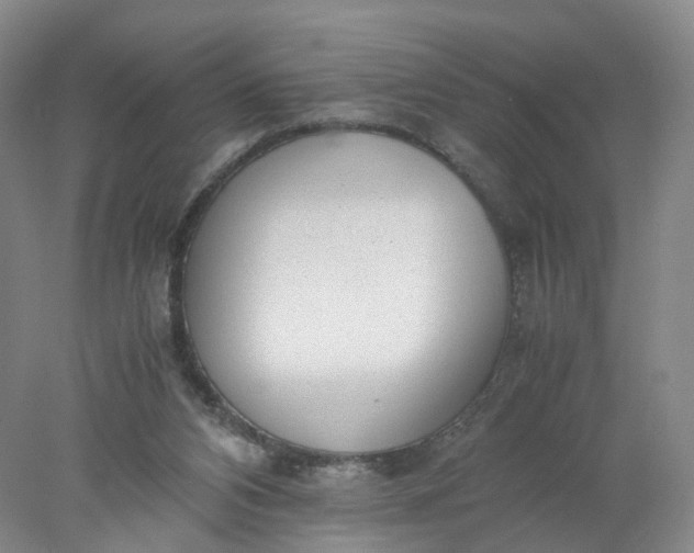 X0000077990112200611101738