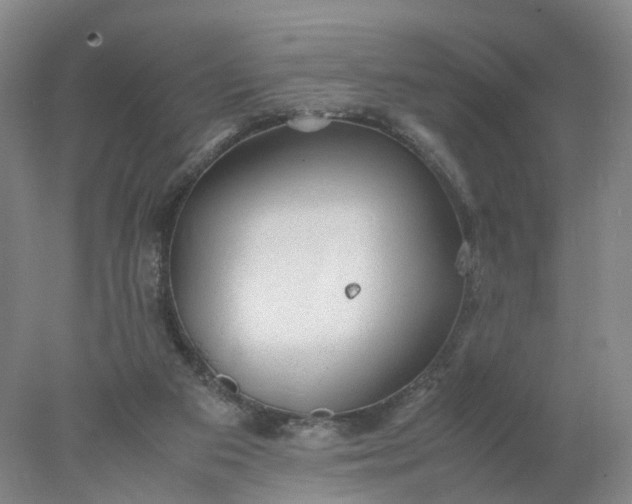 X0000077990113200611101738