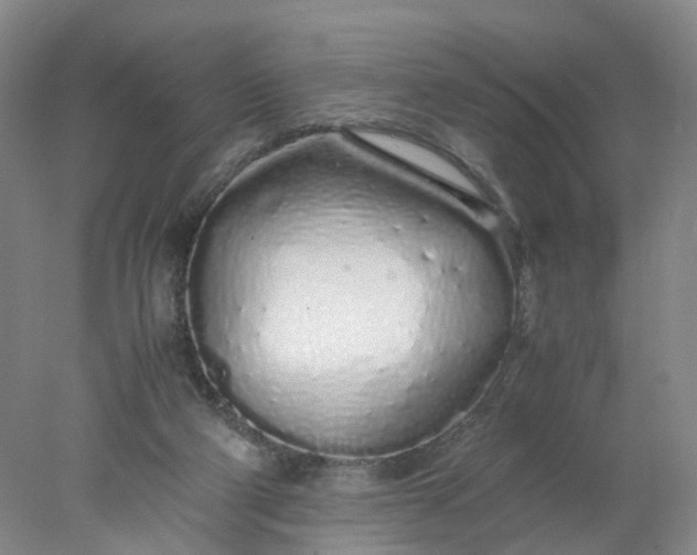 X0000077990114200611101738