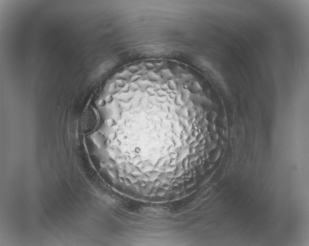 X0000077990115200611101738