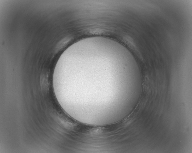 X0000077990116200611101738