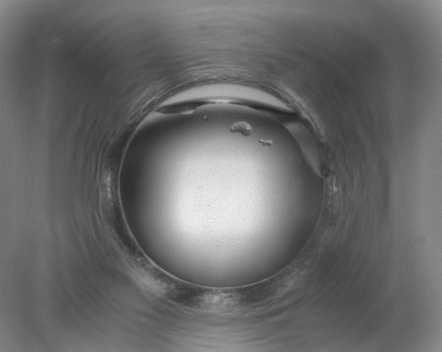 X0000077990117200611101738