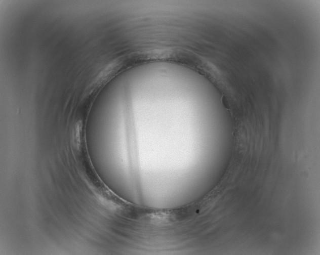 X0000077990118200611101738