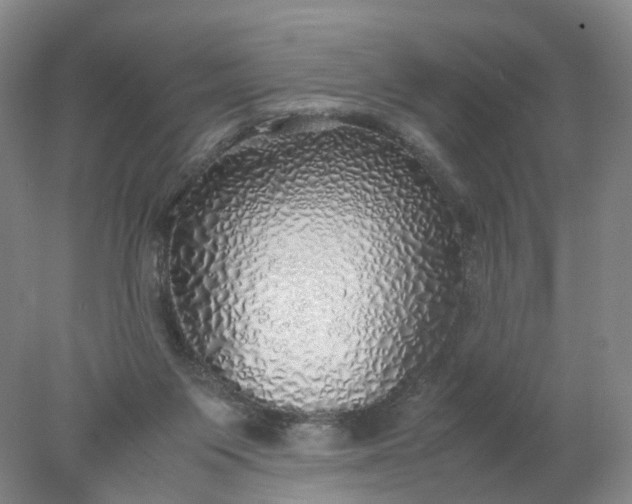 X0000077990119200611101738