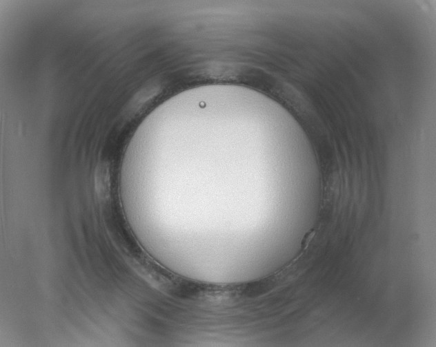 X0000077990120200611101738