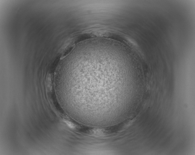 X0000077990121200611101738