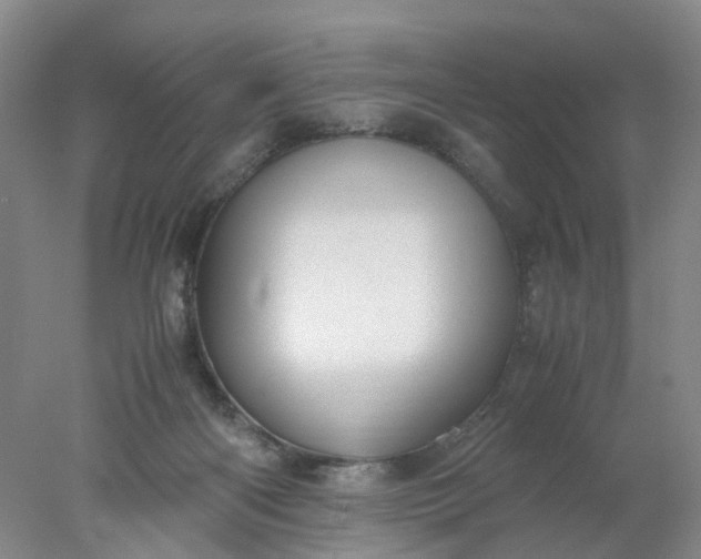 X0000077990122200611101738