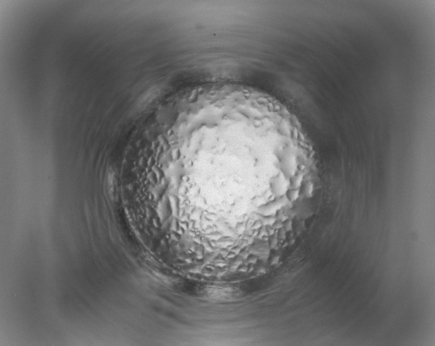 X0000077990123200611101738