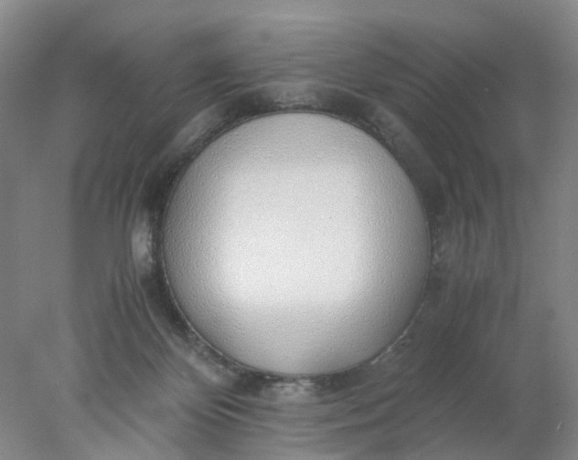 X0000077990124200611101738