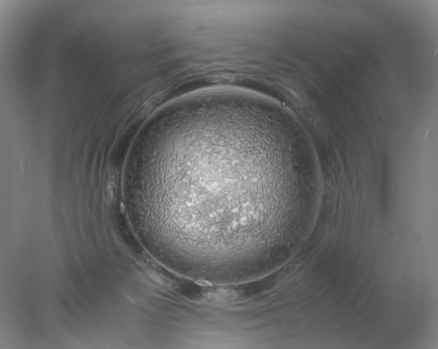 X0000077990125200611101738